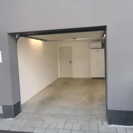 Paradise Swing Daire